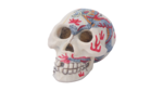 Skull painted 9cm-fish-The Pet Centre