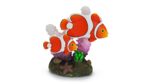 Clown Fish & Coral-fish-The Pet Centre