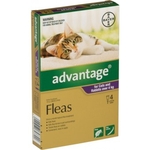 Advantage Flea Treatment for Cats 4-8 kg 4 Pack-cat-The Pet Centre