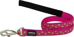 Red Dingo Dog Lead Stars Lime on Hot Pink Medium 20mm x 1.2m-dog-The Pet Centre