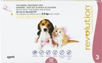 Revolution Flea Treatment for Puppies & Kittens under 2.5kg 3 pack-dog-The Pet Centre