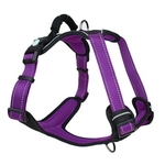 Huskimo Ultimate Harness -  Aurora (L)-harnesses-The Pet Centre