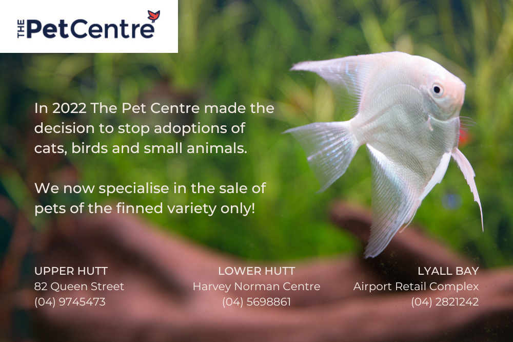 the pet center lower hutt