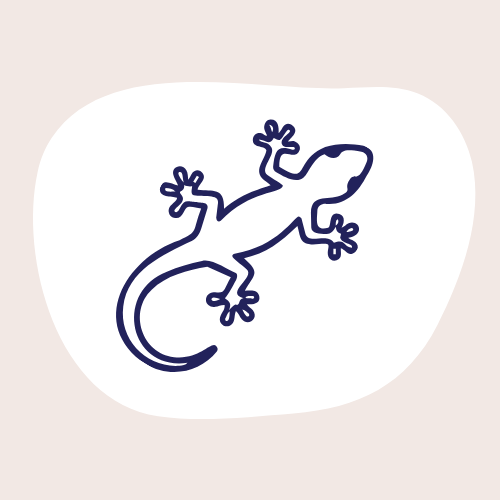 Reptile