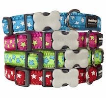 Dog Collars & Leads