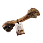 Platinum Ranch Deer Clod Bone-dog-The Pet Centre