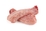 Alphapetz Frozen Chicken Necks 1kg