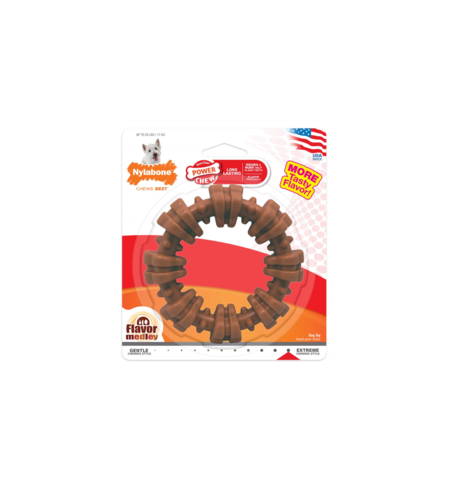 Nylabone Dura Chew Textured Ring Regular