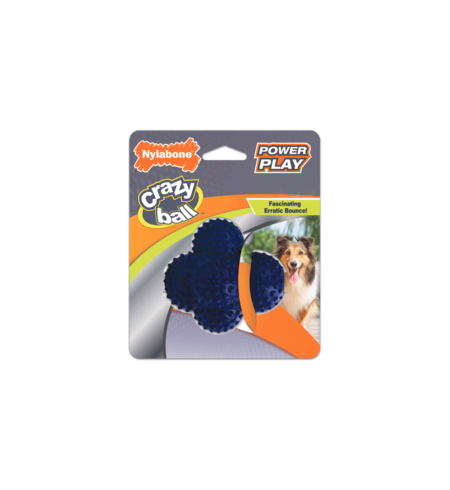 Nylabone Power Play Dental Crazy Ball