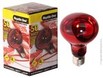 Reptile One Heat Lamp Infrared Medi Lamp 50W E27 Screw Fitting-fish-The Pet Centre