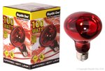 Reptile One Heat Lamp Infrared Medi Lamp 100W E27 Screw Fitting-fish-The Pet Centre