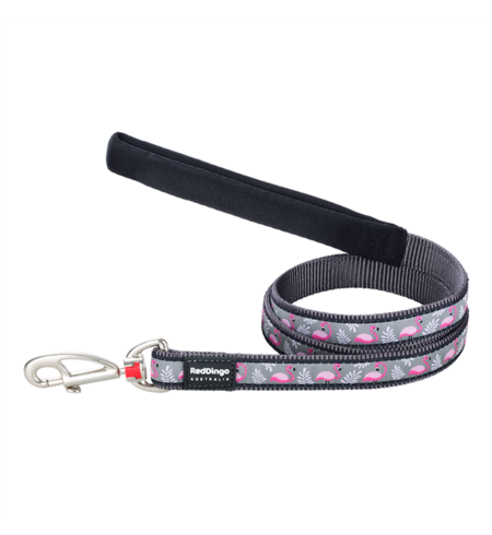 Red Dingo Dog Lead Flamingo Cool Grey Medium 20mm x 1.2m