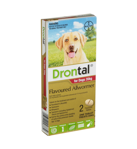 Drontal Dog All Wormer Over 20kg