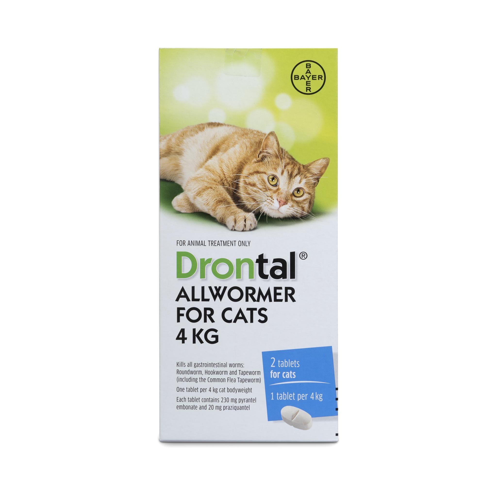 Drontal Cat All Wormer 4kg Drontal Worm Treatment Cat The Pet Centre