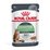 Royal Canin Cat Digestive Care Loaf 85g