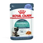 Royal Canin Cat Hairball Care in Jelly 85g-cat-The Pet Centre