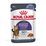 Royal Canin Appetite Control Jelly 85g