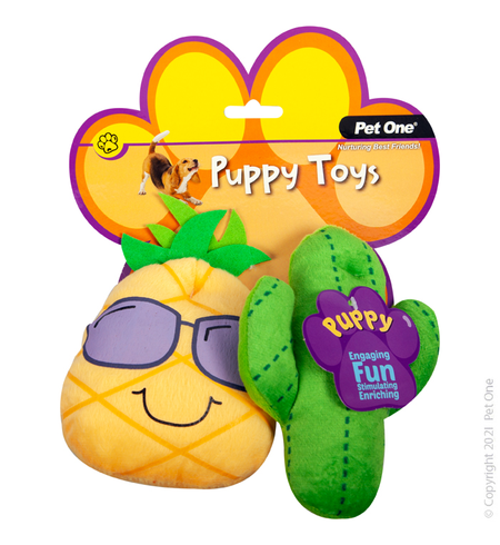 Pet One Puppy Cactus Family Assorted 2pcs Set