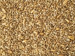 Topflite Budgie Mix 5kg-bird-The Pet Centre