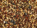 Topflite Wild Bird Mix coarse 1kg-bird-The Pet Centre