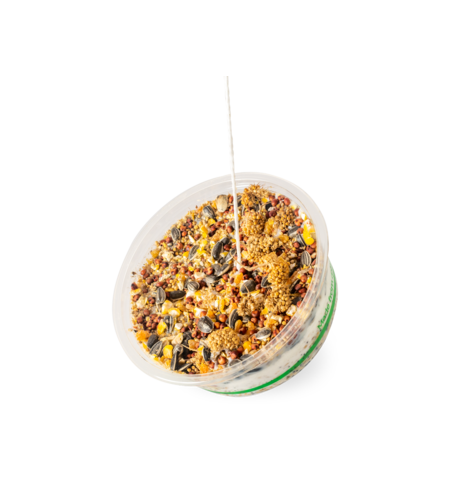 Topflite Wild Bird Hanging Gourmet Treat