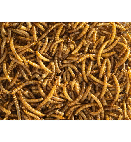 Topflite Dried Mealworms 125g