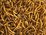 Topflite Dried Mealworms 125g