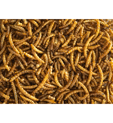 Topflite Dried Mealworms 500g