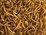 Topflite Dried Mealworms 500g