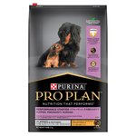 Pro Plan Puppy Starter 12kg-dog-The Pet Centre