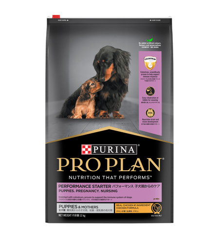 Pro Plan Puppy Starter 12kg