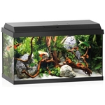 Juwel Primo 60 Aquarium Black-fish-The Pet Centre