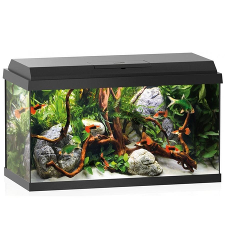 Juwel Primo 60 Aquarium Black