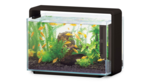 Hailea E60 Aquarium 60L - Black-fish-The Pet Centre