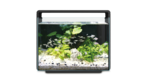 Hailea E80 Aquarium 80L - Black-fish-The Pet Centre