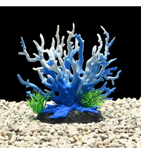 AquaWorld Plant Blue Coral Tree 15cm
