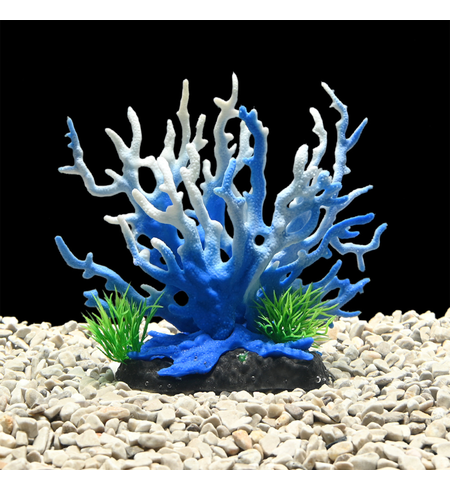 AquaWorld Plant Blue Coral Tree 15cm