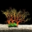 AquaWorld Plant Orange Coral Tree Branch 28cm