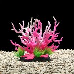 AquaWorld Plant Pink Coral Tree 15cm-fish-The Pet Centre