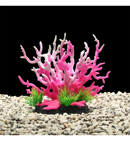 AquaWorld Plant Pink Coral Tree 15cm