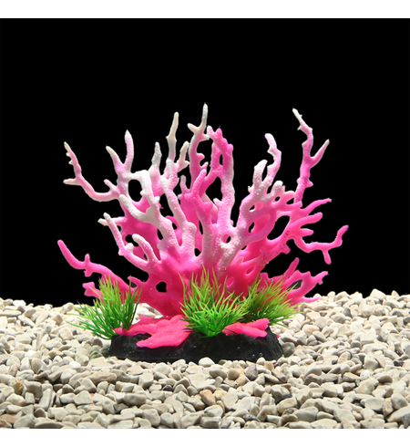 AquaWorld Plant Pink Coral Tree 15cm