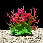 AquaWorld Plant Red Coral Tree 15cm-fish-The Pet Centre