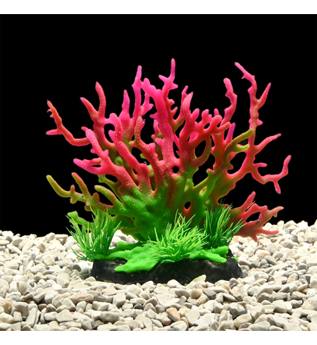 AquaWorld Plant Red Coral Tree 15cm