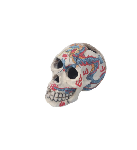 Skull painted 15cm