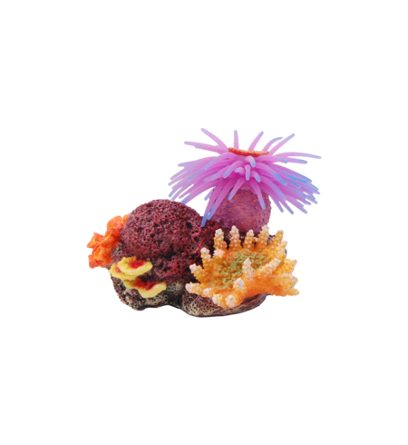 Coral with pink anemone 11cm