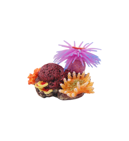 Coral with pink anemone 11cm