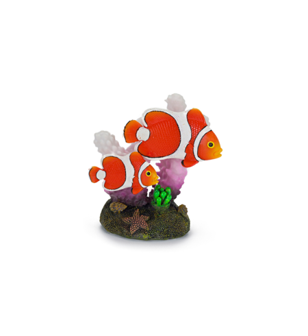 Clown Fish & Coral