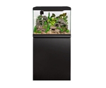 Lifestyle Classic 125L Satin Black Aquarium & Cabinet-fish-The Pet Centre