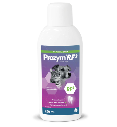 Prozym Dental Solution 250ml for Cats & Dogs 