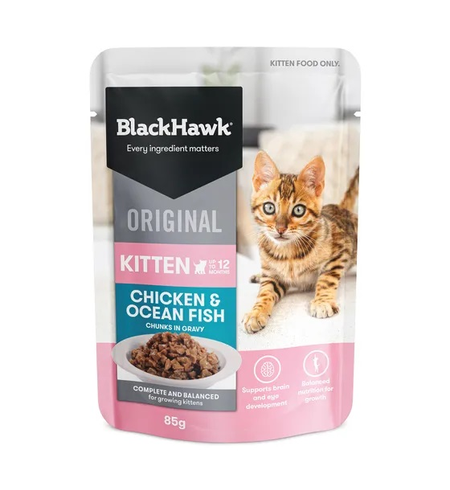 Black Hawk Original Kitten Chicken Fish Gravy 85g